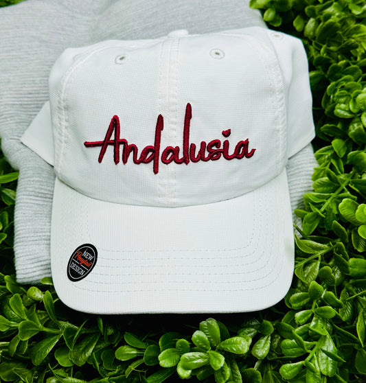 3D Puff Andalusia Ponytail Hat